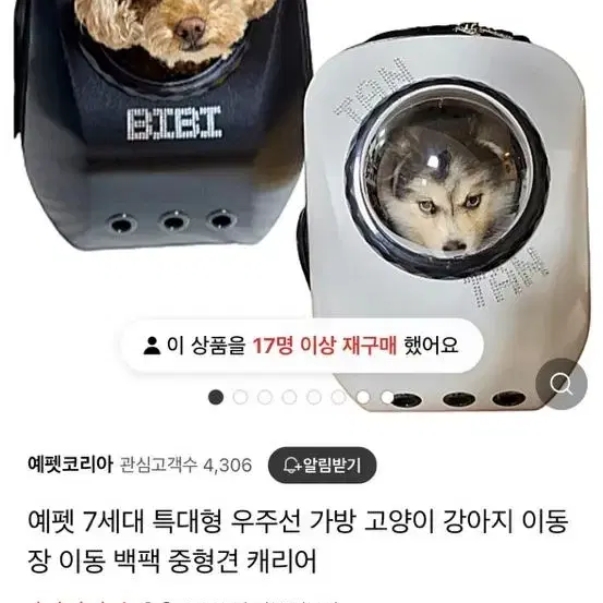 강아지 이동 가방 우주선 가방 예펫