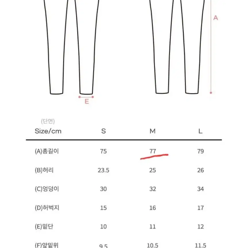 비치반바지 레깅스