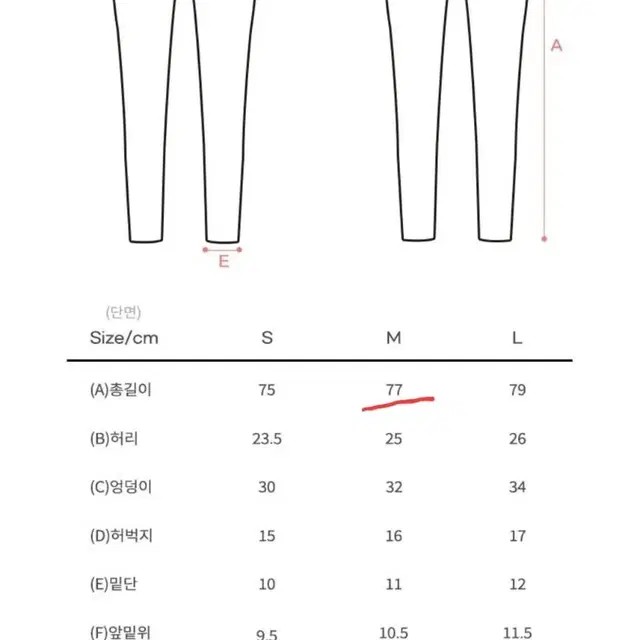 비치반바지 레깅스