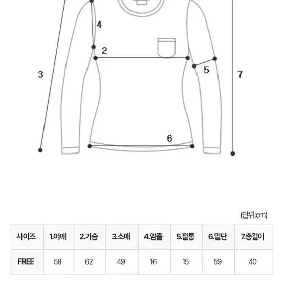 므넴 튤립 라인 시스루티