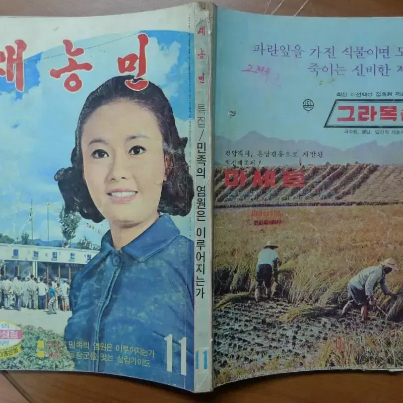 1971년 11월호 새농민 잡지 - 표지모델 영화배우 김칭숙 -