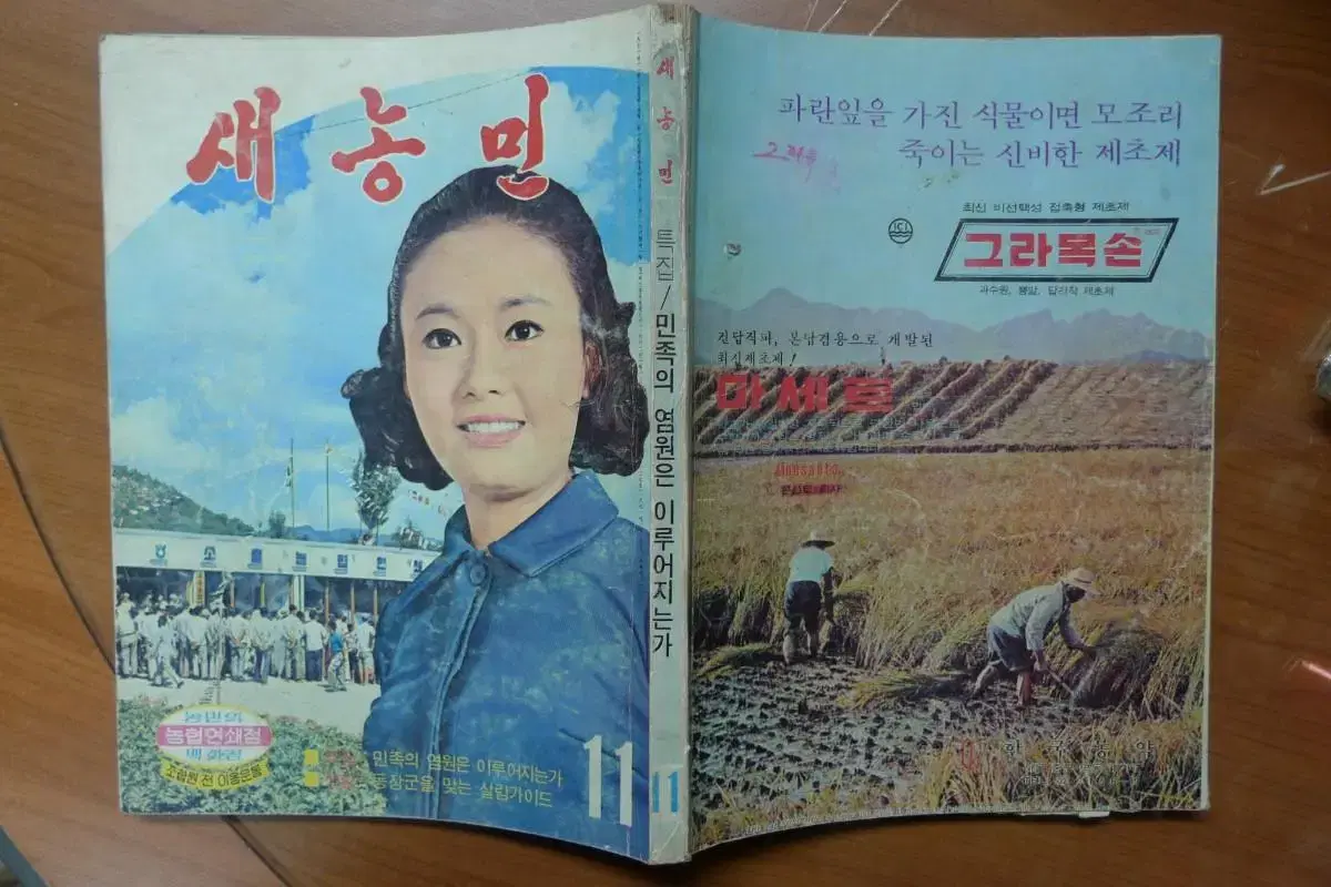 1971년 11월호 새농민 잡지 - 표지모델 영화배우 김칭숙 -