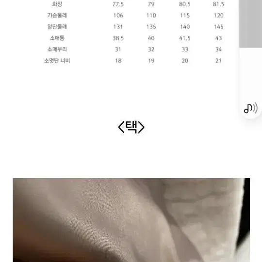 셀럽샵에디션구스양털66