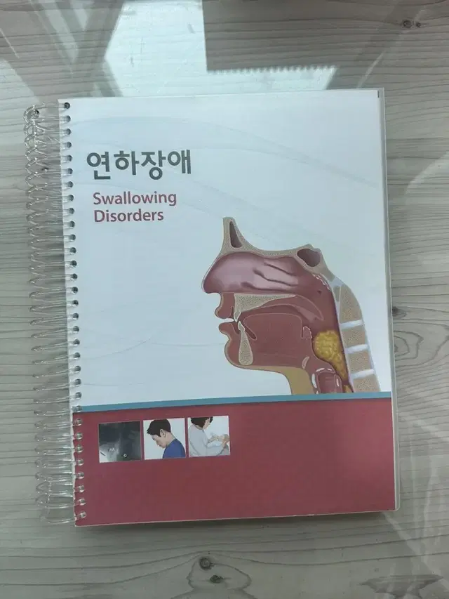 연하장애 (Swallowing Disorders)