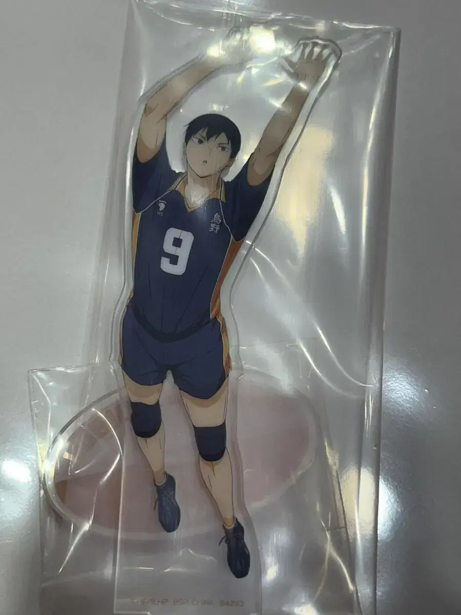 Junkyard Duel Kuji haikyuu Kageyama acrylic Rations