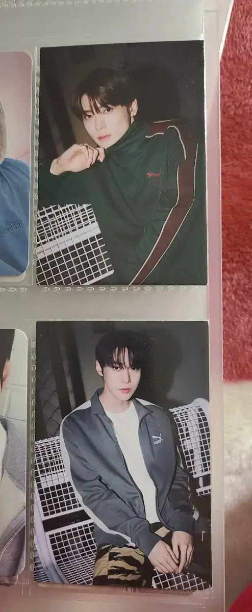 Slipstrip PUMA doyoung jaehyun wts nct NCT DREAM 127 Dream in Bulk