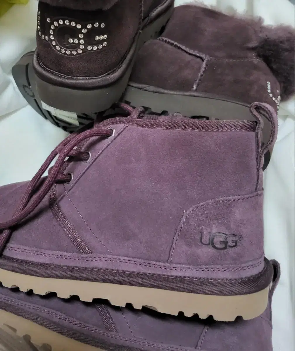 ugg230