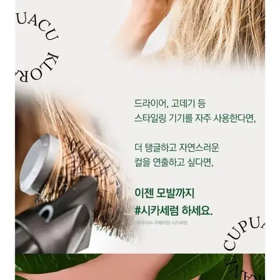 클로란] 쿠푸아수 리페어링 시카 헤어 세럼 100ml (극손상모발)5개