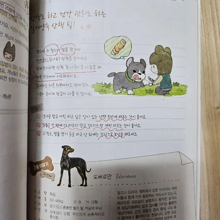 강아지 집사 업무일지