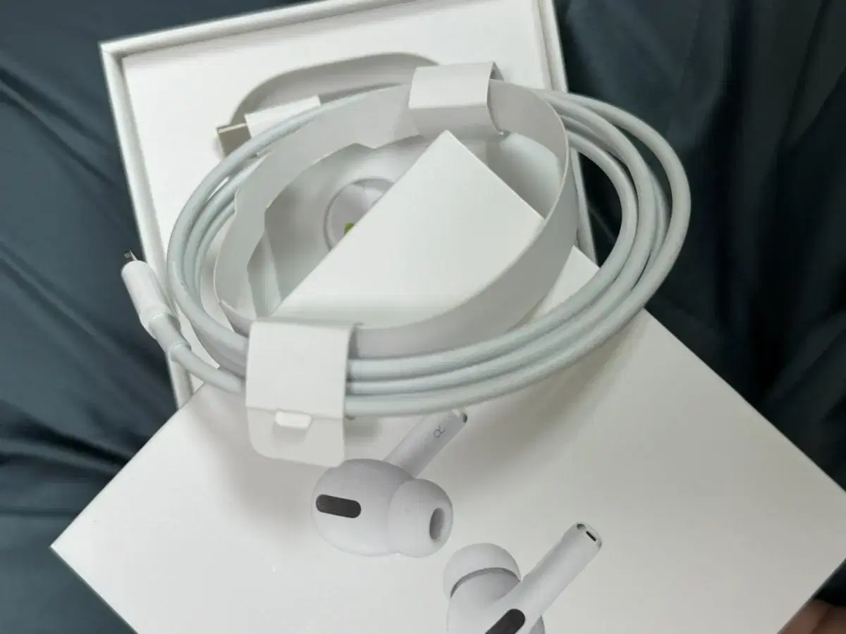 Original Apple Cable C to Lightning