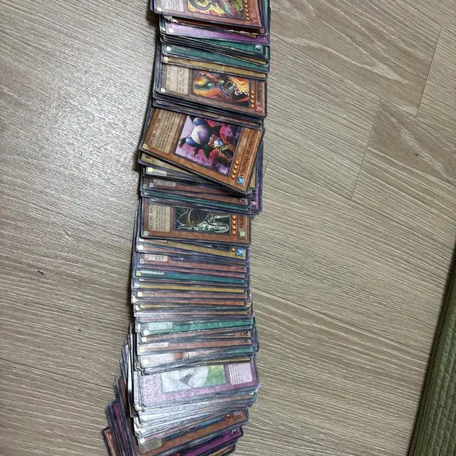 유희왕 TCG 카드 일괄판매(북미판)