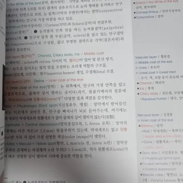 인체 구조와 기능 2 초A급