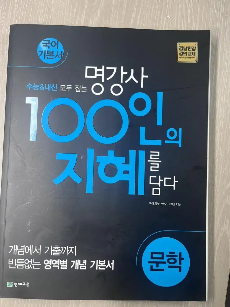 100인의 지혜를 담다 문학