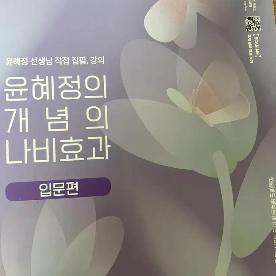 윤혜정의 개념의 나비효과 팝니다.