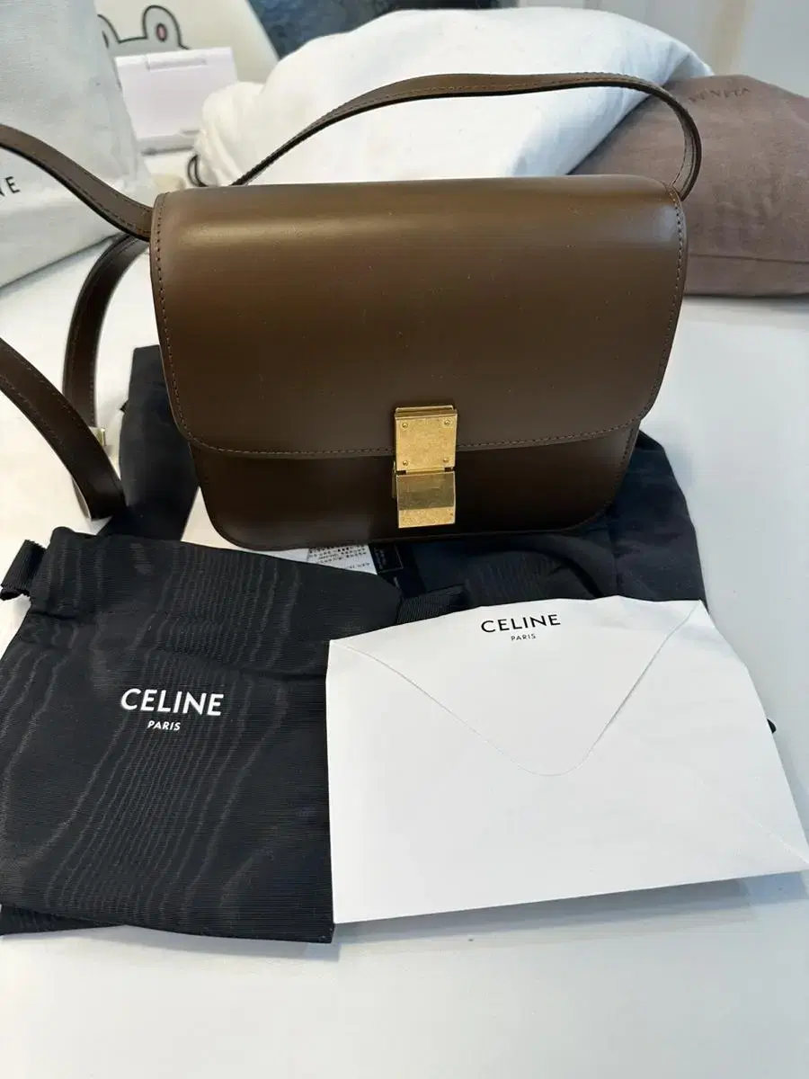 Seline Classic Box Bag