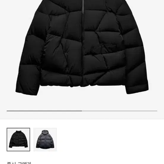 Zara x Ader Error Puffer Jacket Black