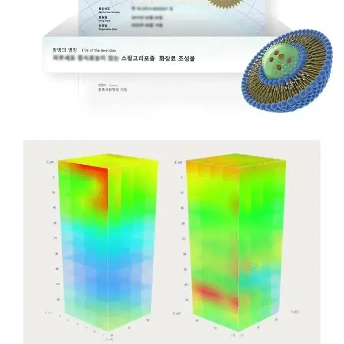 라비앙 메디닉라인 미라클 스핑고좀 주름 탄력 모공 팔자 엑소좀 크림