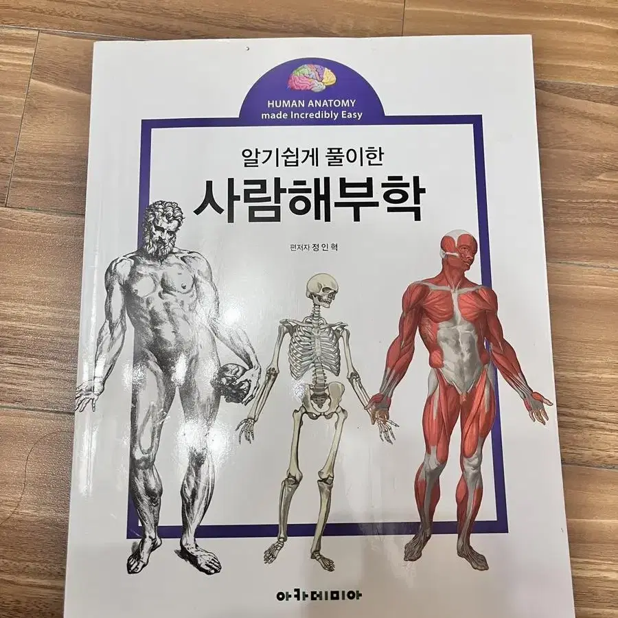 아카데미아 알기쉽게  풀이한 사람해부학