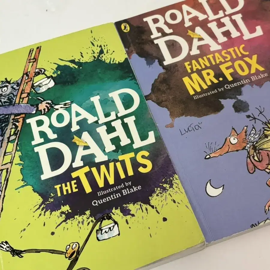 Roald Dahl 소설