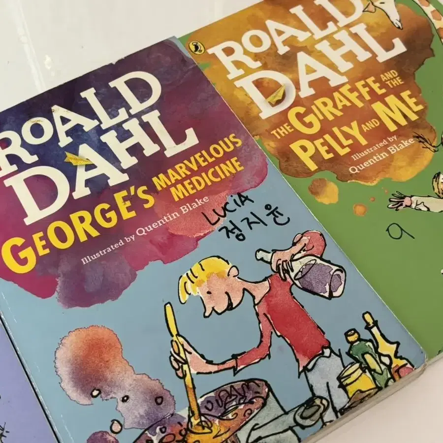 Roald Dahl 소설