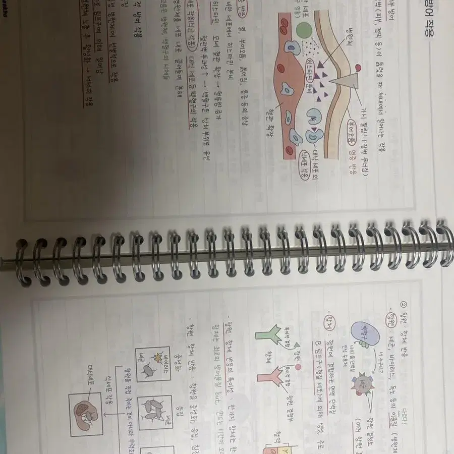 백호 개념완성set(개념,문제,필기노트)