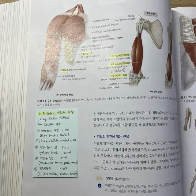 해부생리학1.2 수문사 (각 18,000원)