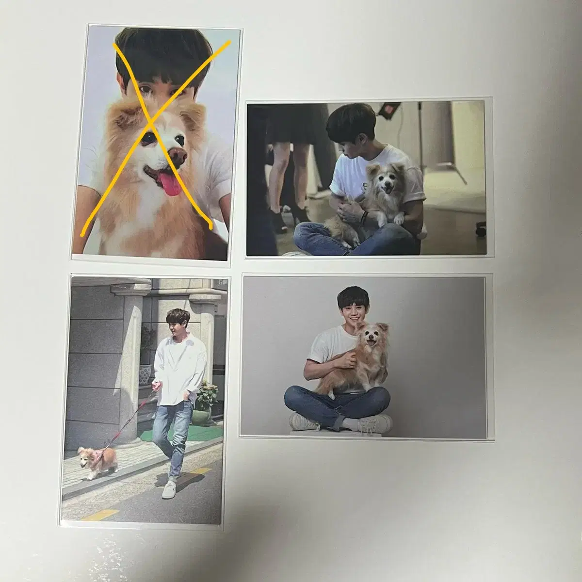 Highlight yang yoseob Zodiac Photo Card