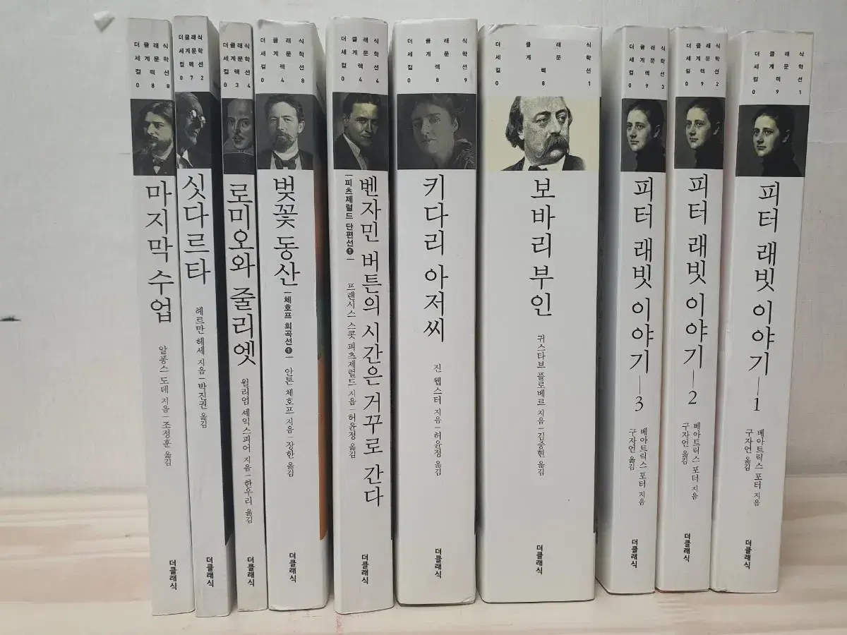 세계문학 총10권 피터래빗, 보바리부인 등