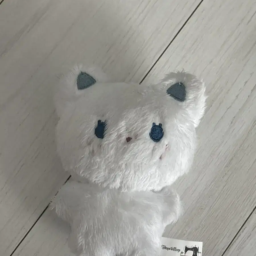 뽁냥이 뽁덩이 양도