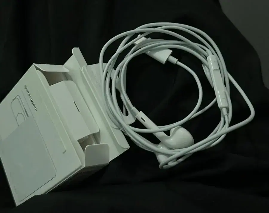 Apple C-type earphones