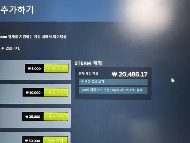 스팀월렛 판매