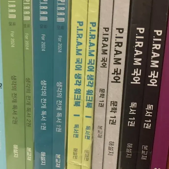 피램 생각의 전개 문학 1권 본교재 해설지 piram