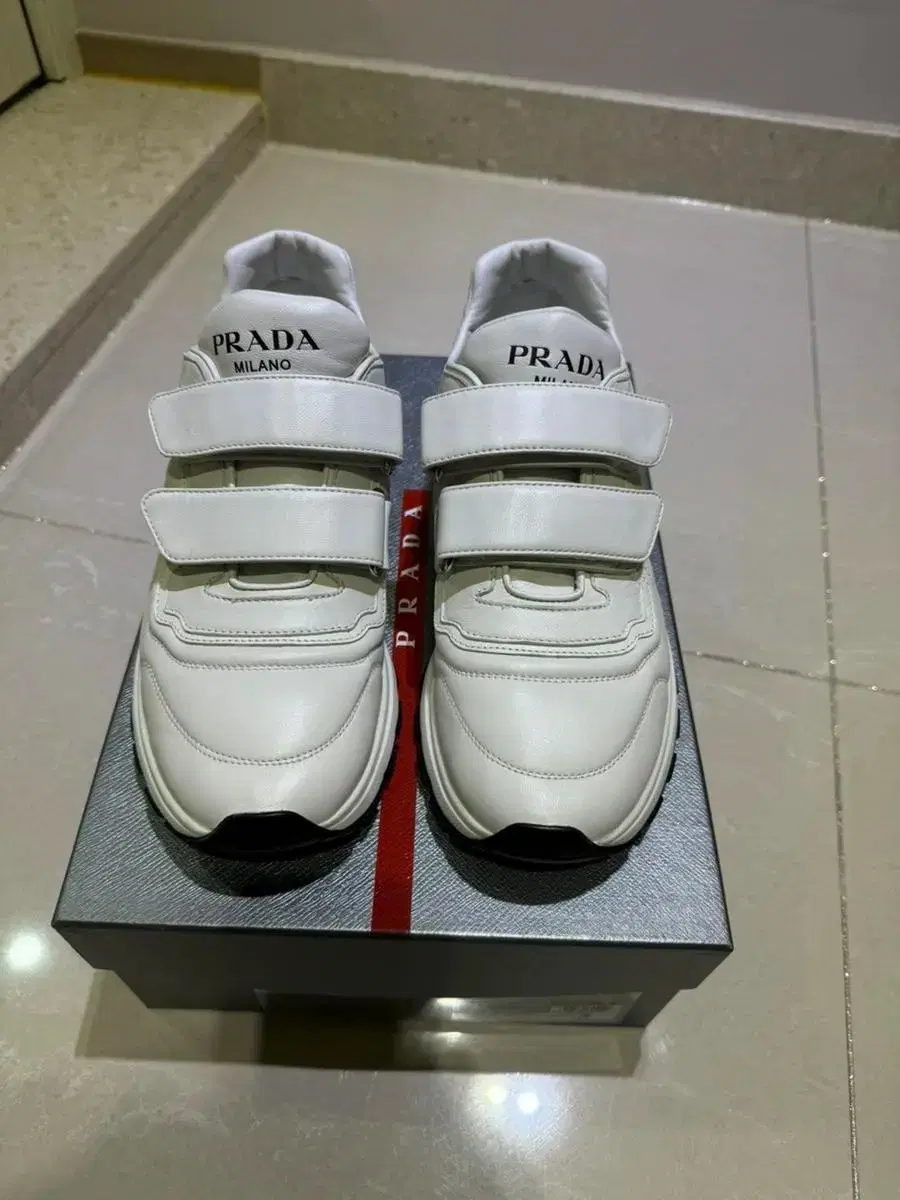 Prada sneakers