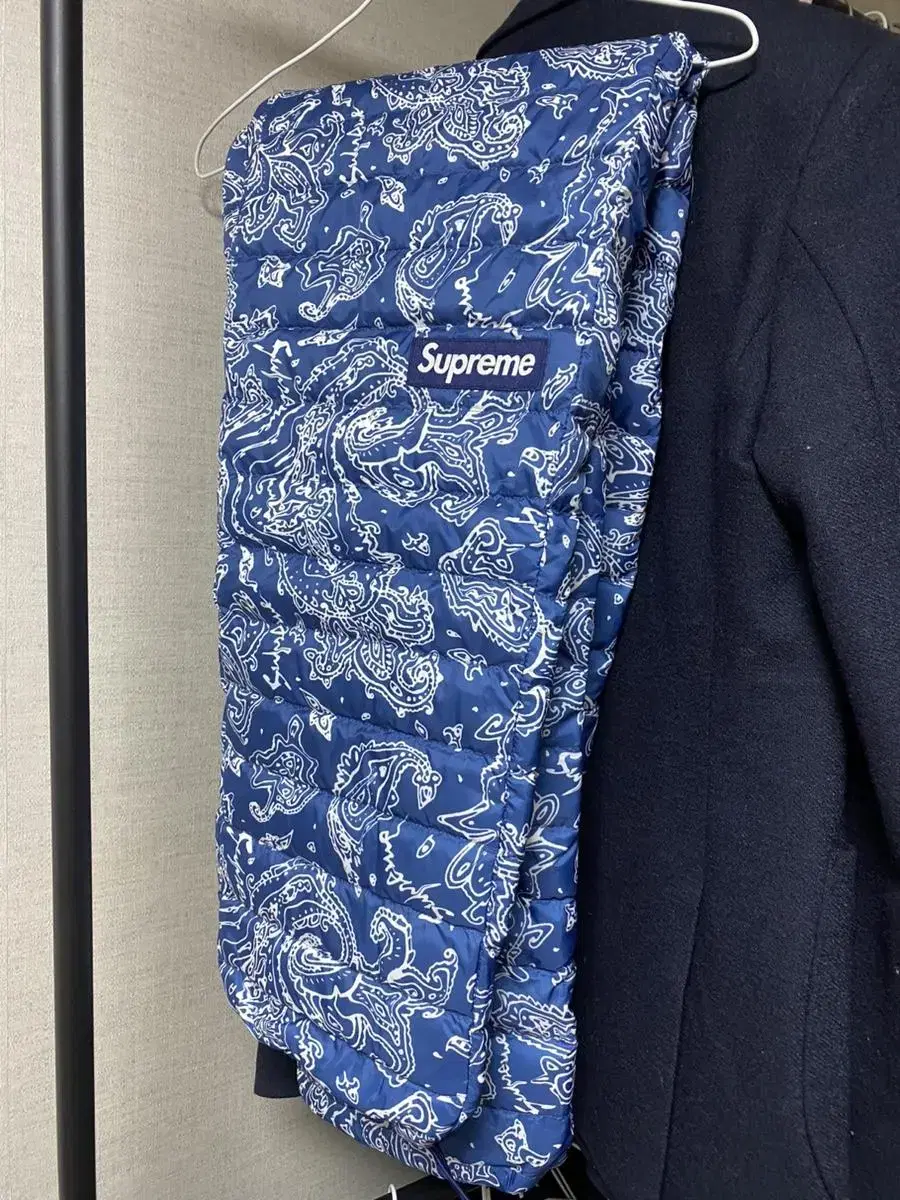 Supreme Micro Down Pants Tac0