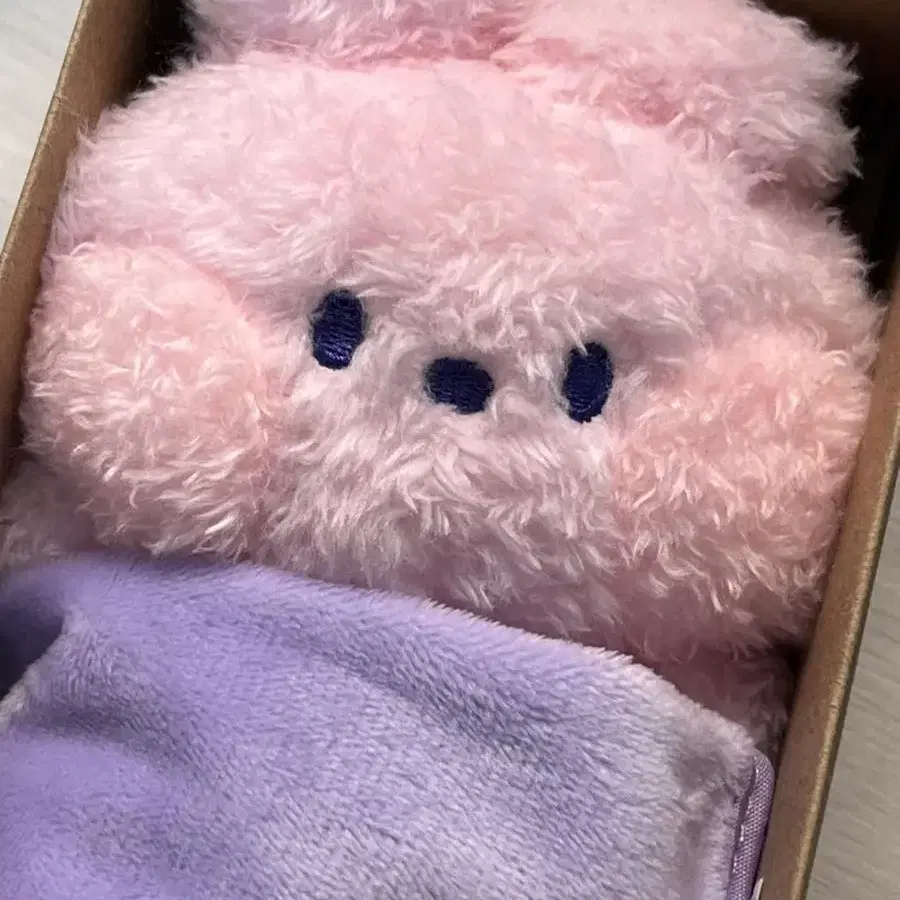 정국 라인프렌즈 BT21 COOKY