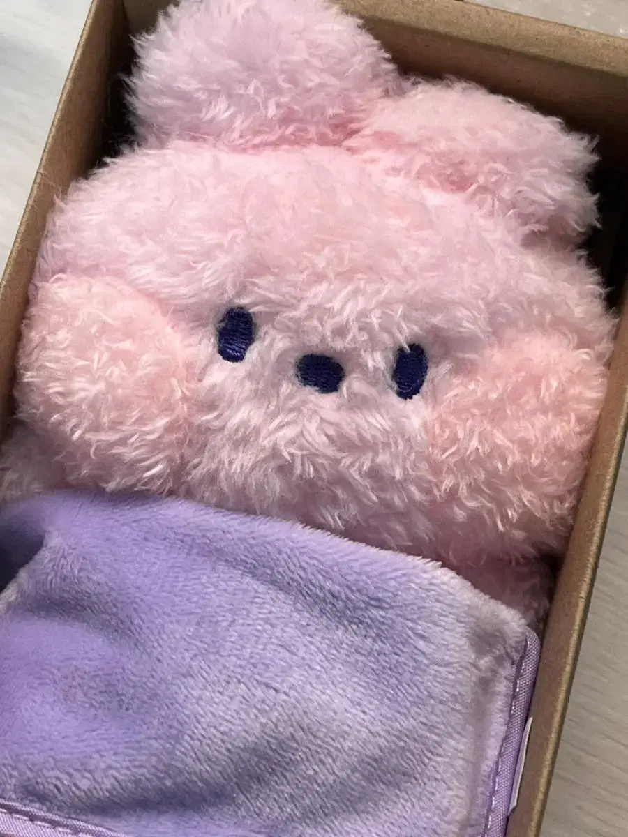 정국 라인프렌즈 BT21 COOKY