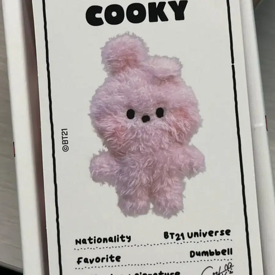 정국 라인프렌즈 BT21 COOKY