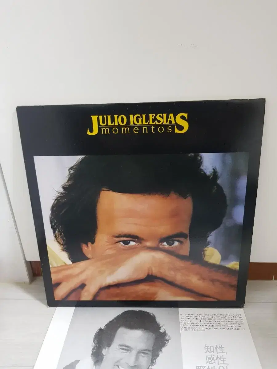 Julio Iglesias Momentos 월드뮤직 바이닐vinyl 엘피