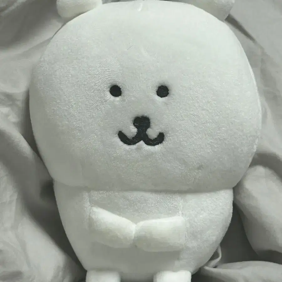 급처 농담곰 8cm 10cm 꼬옥담곰 꼬옥 농담곰 판매