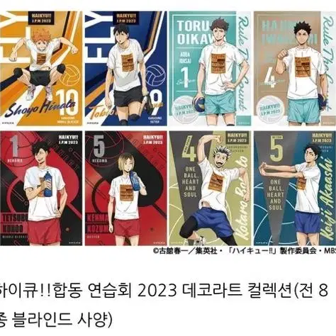 하이큐 합동연습회 2023 데코라트 컬렉션