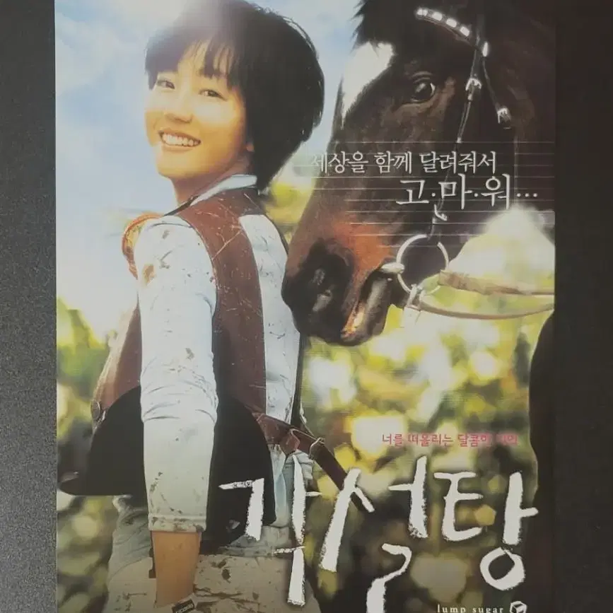 [영화팜플렛] 각설탕 전단지 (2006) 임수정 김유정