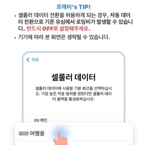 미국 로밍 10일간 매일 500MB