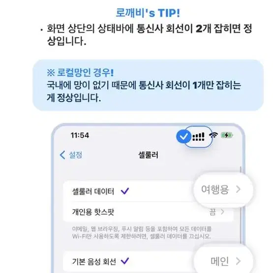 미국 로밍 10일간 매일 500MB