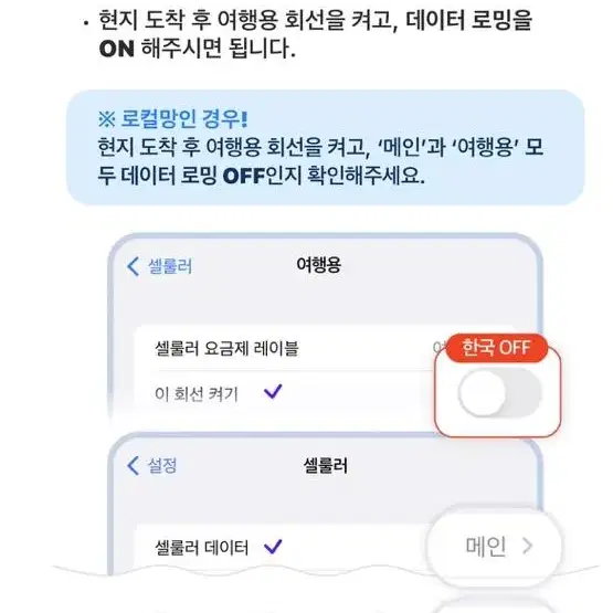 미국 로밍 10일간 매일 500MB