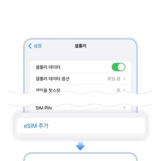 미국 로밍 10일간 매일 500MB