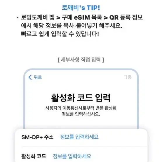 미국 로밍 10일간 매일 500MB