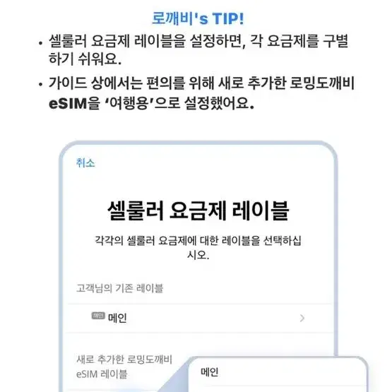 미국 로밍 10일간 매일 500MB