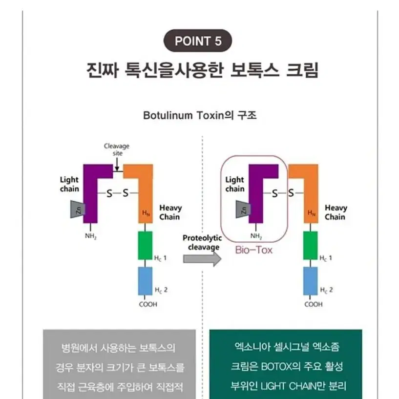 하나땡처리! 미사용 선물가능 프리미엄 셀시그널 엑소좀 크림 프로그램1박스