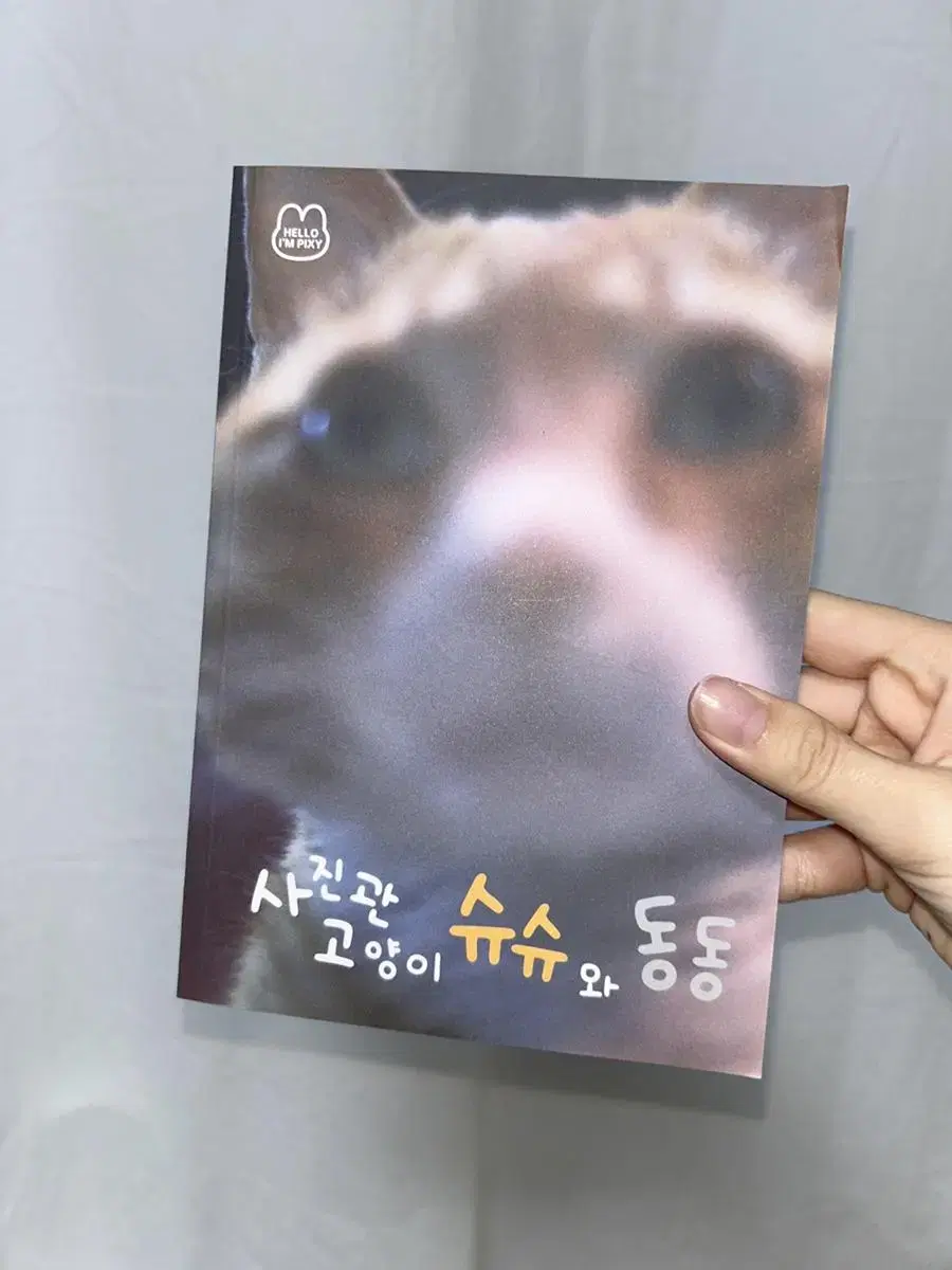 북성로 사진관 슈슈와 동동 고양이 사진집 만화책 화보 소품샵