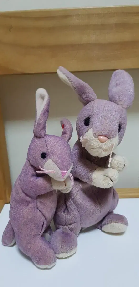 tyBunny mom and baby